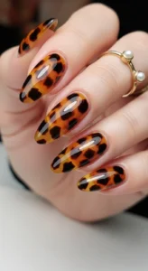 Tortoise Shell Patterns