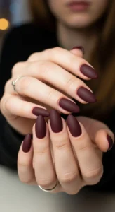 Modern Matte Burgundy Nails